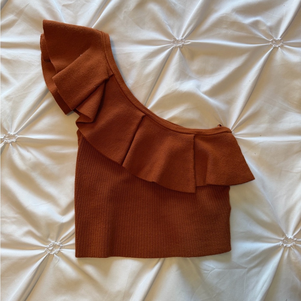 Express Burnt Orange Knit Top